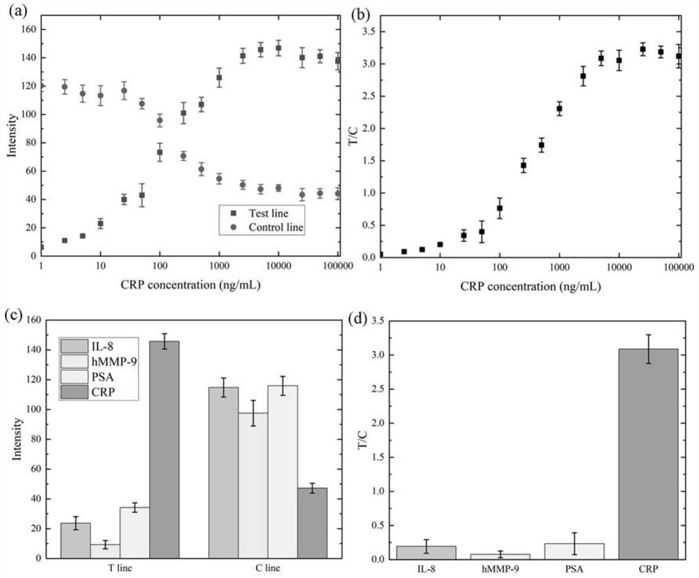 Hook effect-free immunochromatography test strip and preparation method thereof