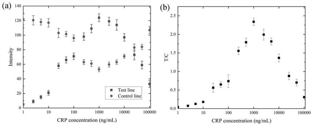 Hook effect-free immunochromatography test strip and preparation method thereof