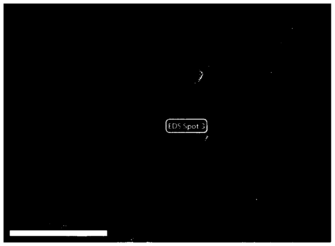 Coal gangue-based composite geopolymer grouting filling material and preparation method thereof