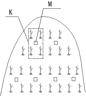 An Ecological Cultivation Technique for Promoting Rapid Formation of Newly Planted Bamboo Forests