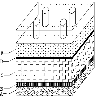 An Ecological Cultivation Technique for Promoting Rapid Formation of Newly Planted Bamboo Forests