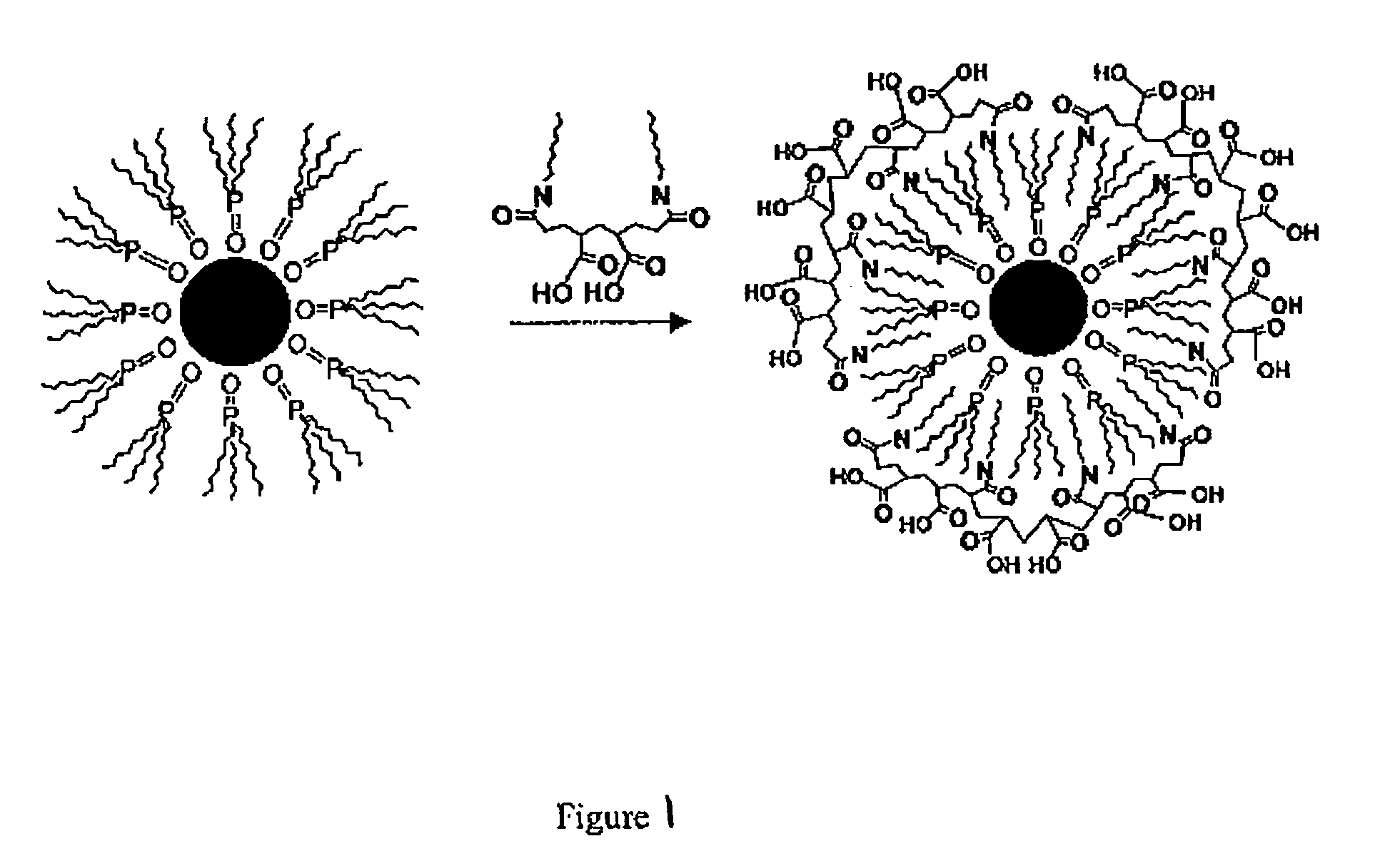 Nanocrystal/sol-gel nanocomposites