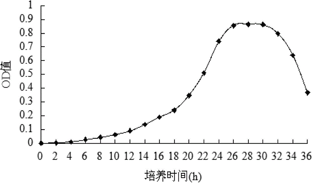 Endogenous bacillus subtilis positive mutant strain, preparation method thereof, prepared biocontrol agent and application of biocontrol agent in preventing and controlling pomegranate dry rot