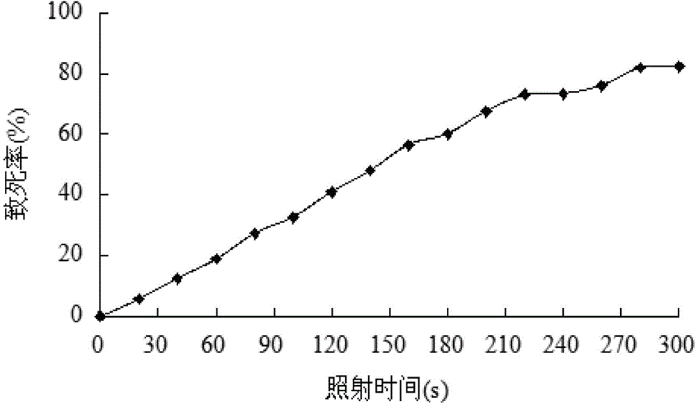 Endogenous bacillus subtilis positive mutant strain, preparation method thereof, prepared biocontrol agent and application of biocontrol agent in preventing and controlling pomegranate dry rot