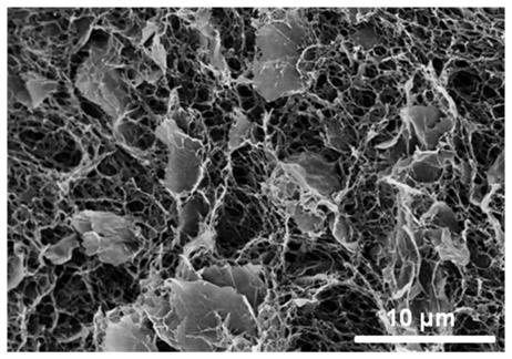 High-toughness high-thermal-conductivity PBONF-based composite film and preparation method thereof