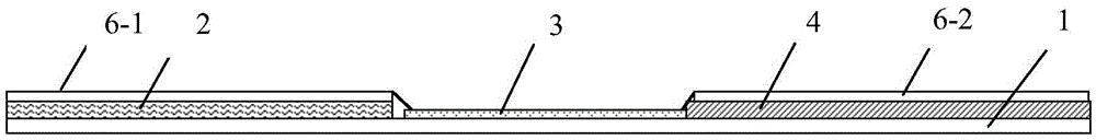 Escherichia coli O157:H7 direct type immunofluorescence chromatography test paper