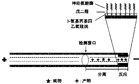 Preparation method of in-capillary immobilized enzyme microreactor