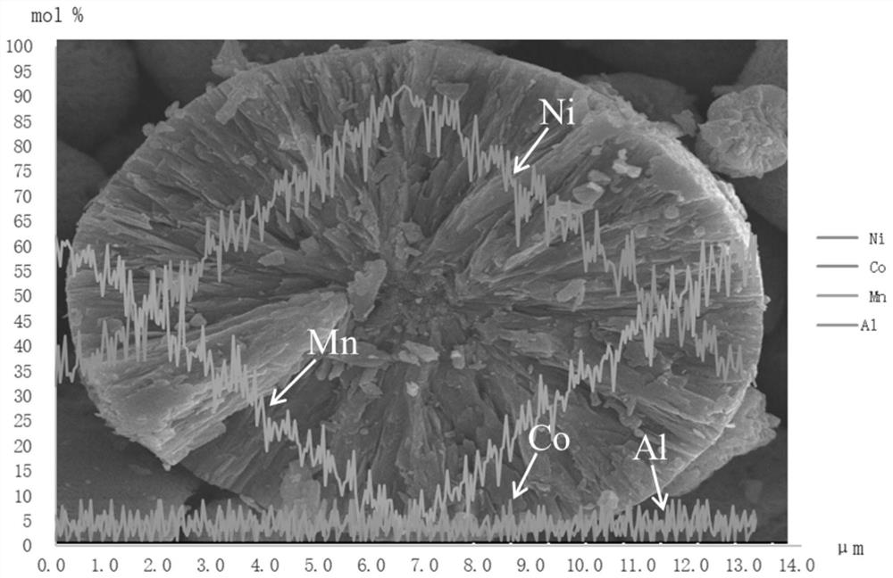 NCMA quaternary gradient material and preparation method thereof