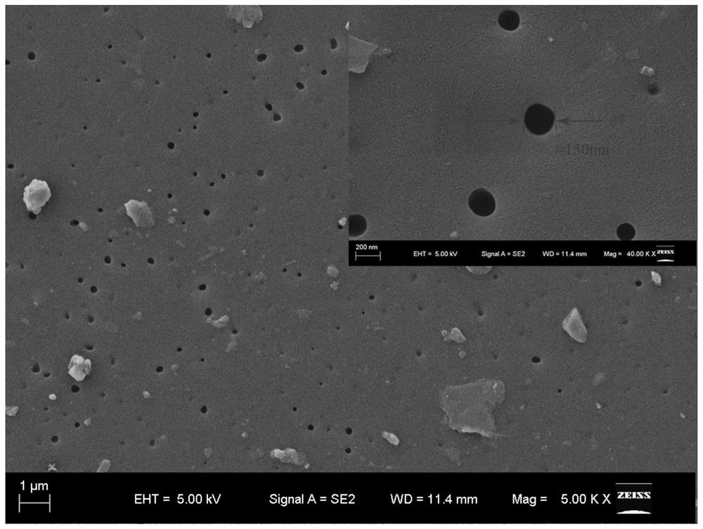 Bactericidal breathable film and its preparation method and application