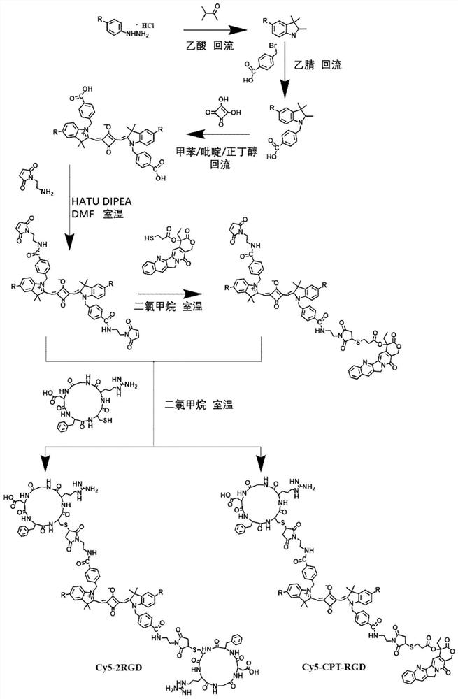 A targeting material based on indole squaraine dye and its preparation method, fluorescent nanoparticles and its preparation method