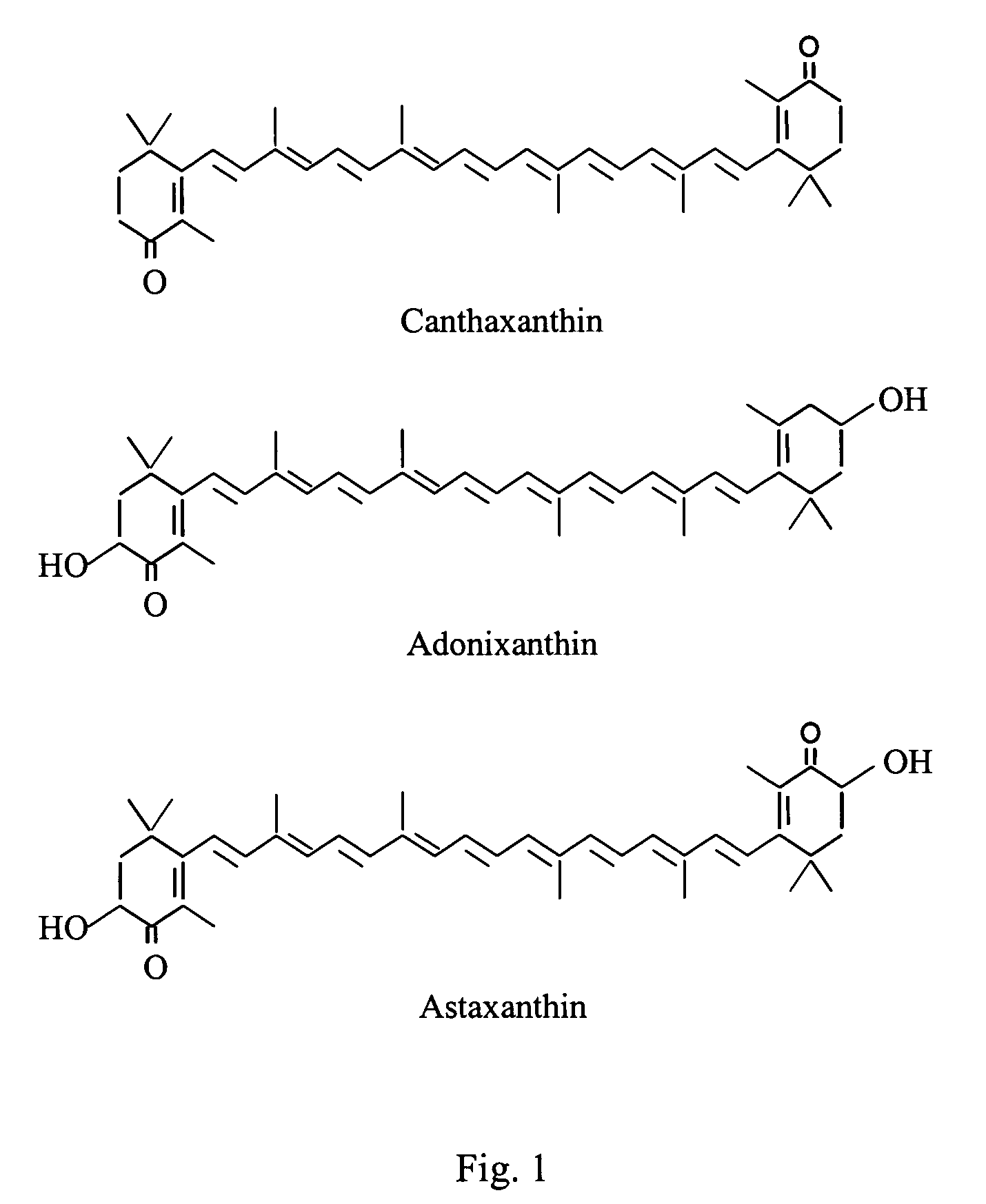 Methods for production of astaxanthin from the green microalgae Chlorella in dark-heterotrophic cultures