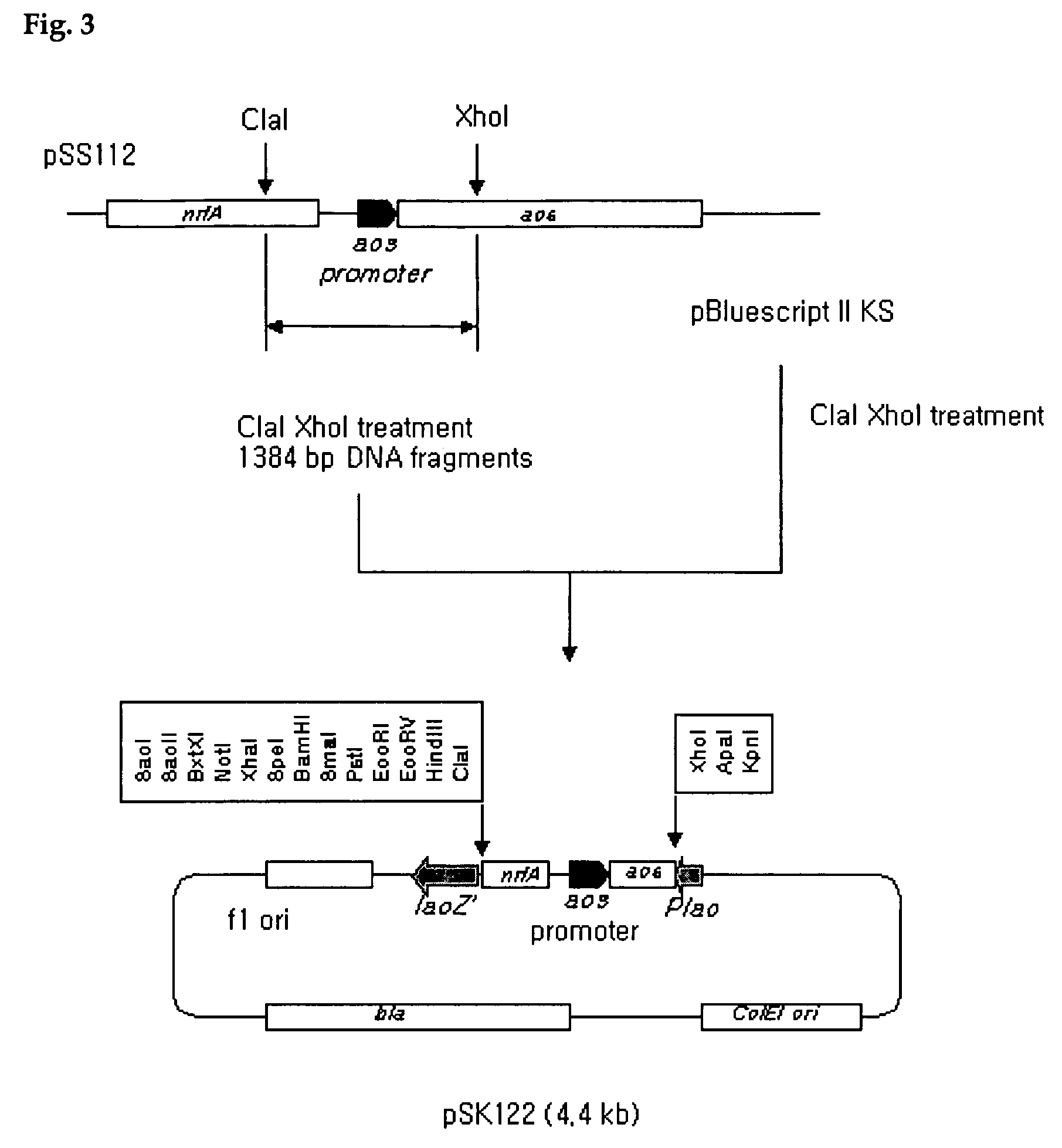 Method of protein synthesis