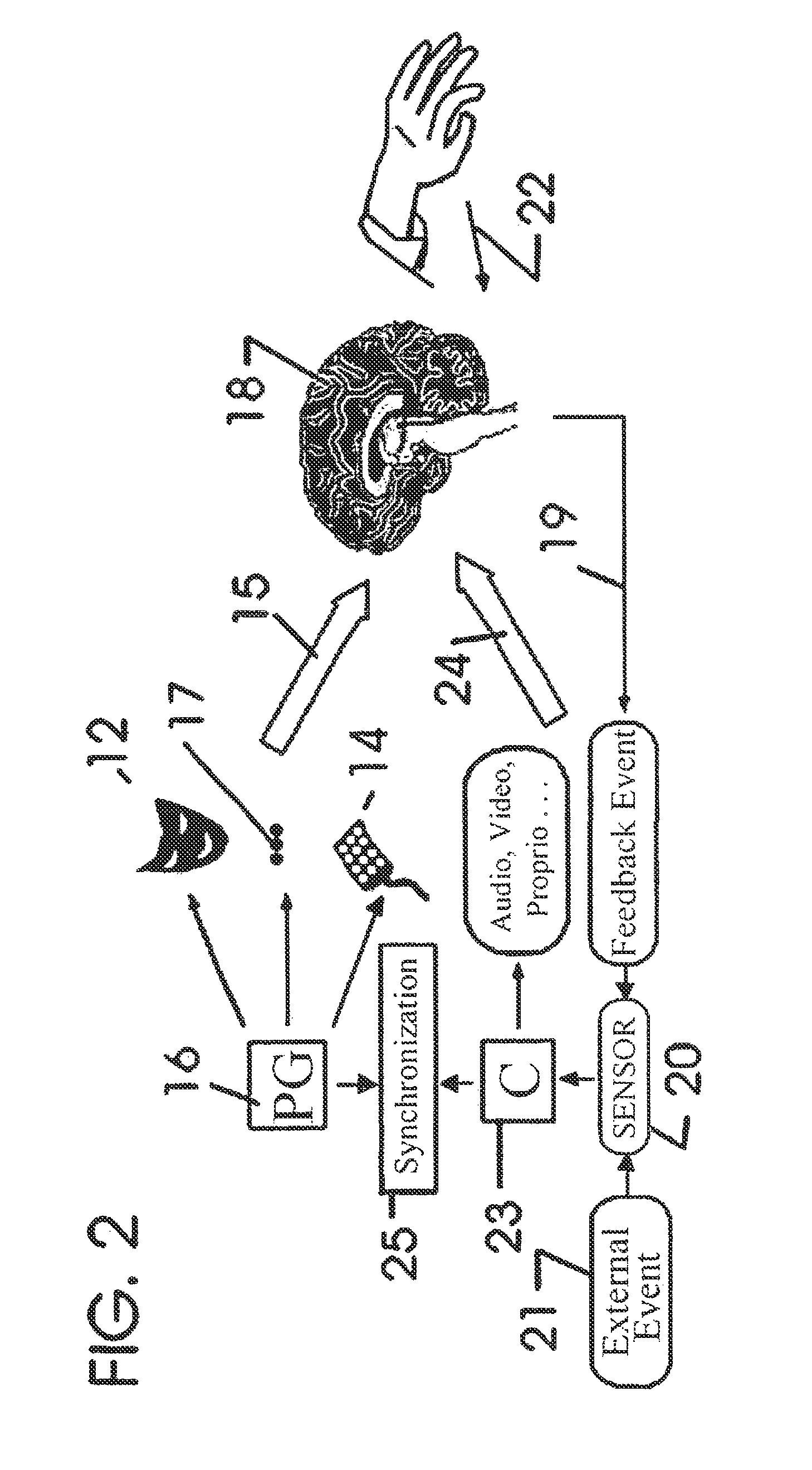 Non-invasive neuromodulation (NINM) for rehabilitation of brain function