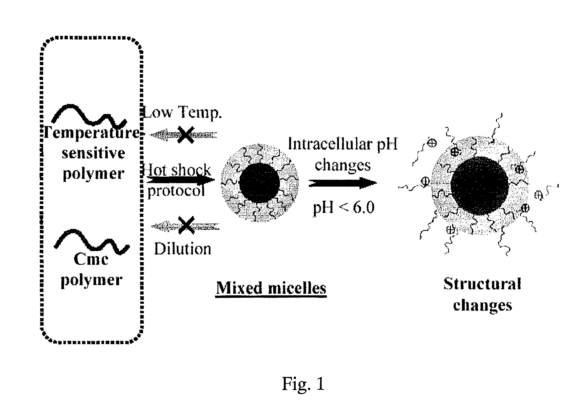 Stable micelles formed with diblock copolymers of critical micelle concentration copolymer and temperature-sensitive copolymer