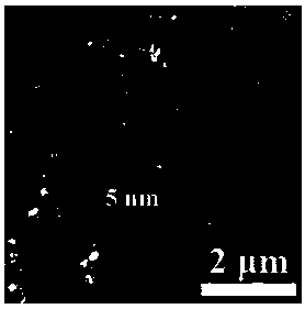 Polydopamine modified transition metal chalcogenide nano-sheet and preparation method thereof