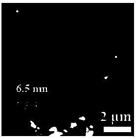 Polydopamine modified transition metal chalcogenide nano-sheet and preparation method thereof