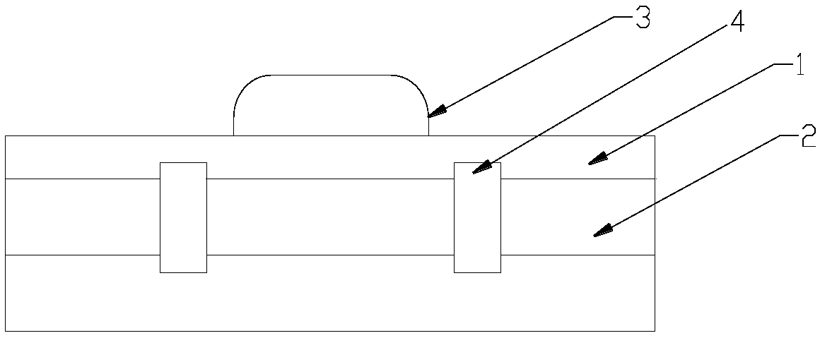 Butterfly orchid pollen storage and breeding method