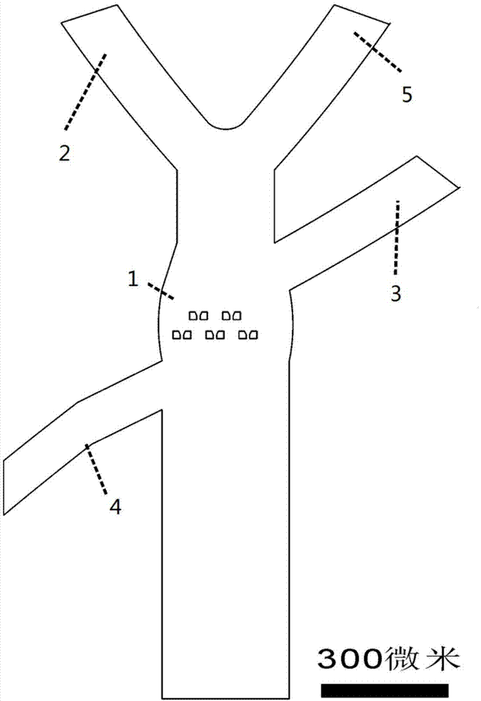 High-throughput microfluidic chip and cell analysis device and method