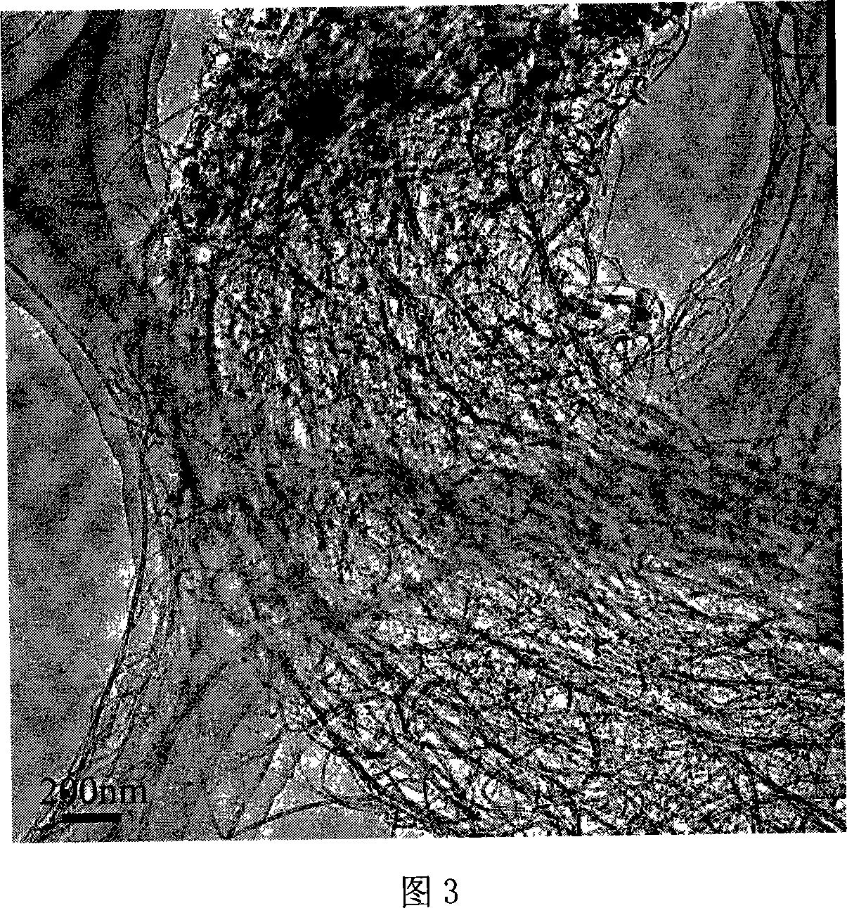 Carbon nano-pipe array/laminated composite and its production