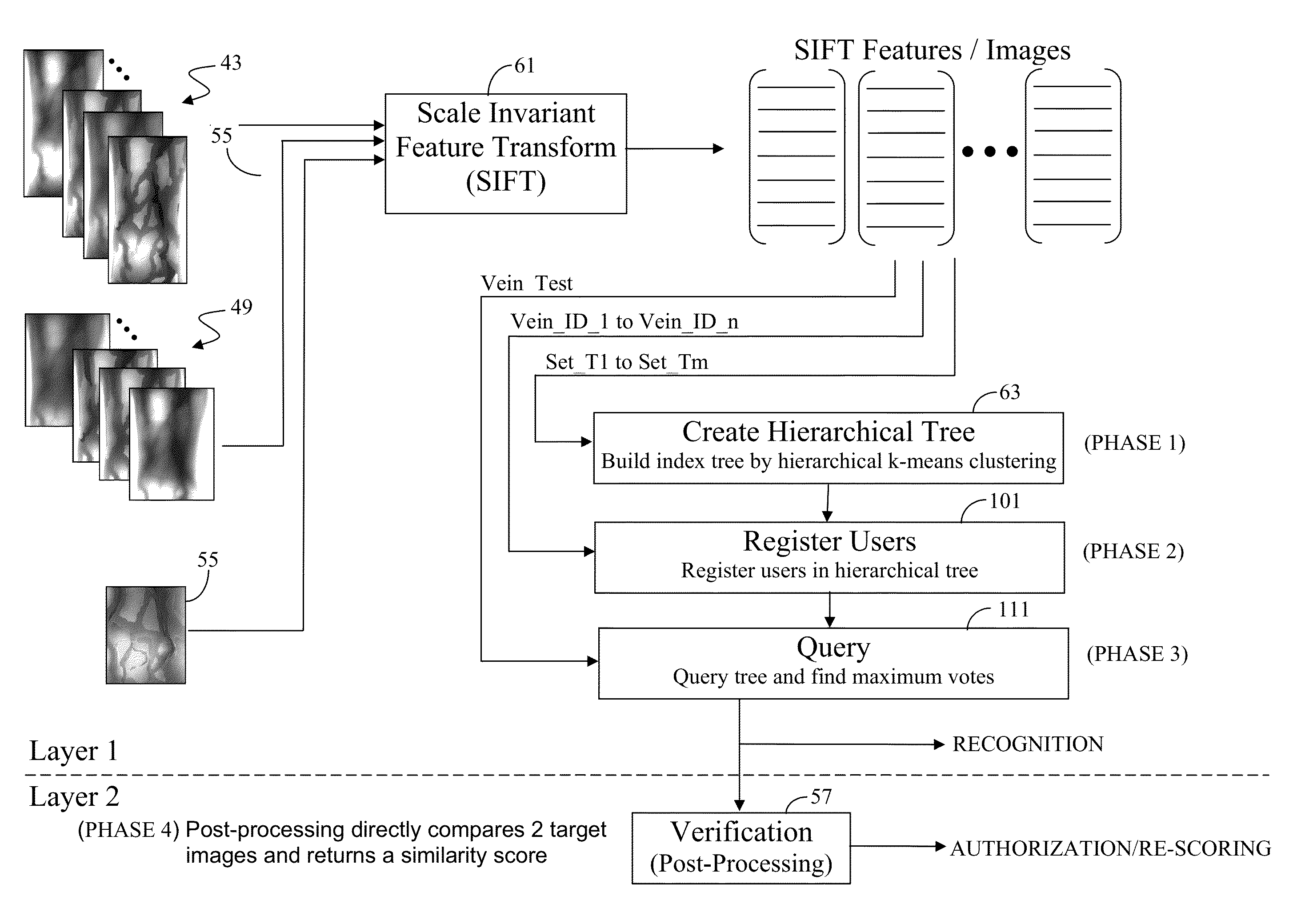 Fast and Robust Classification Algorithm for Vein Recognition Using Infrared Images