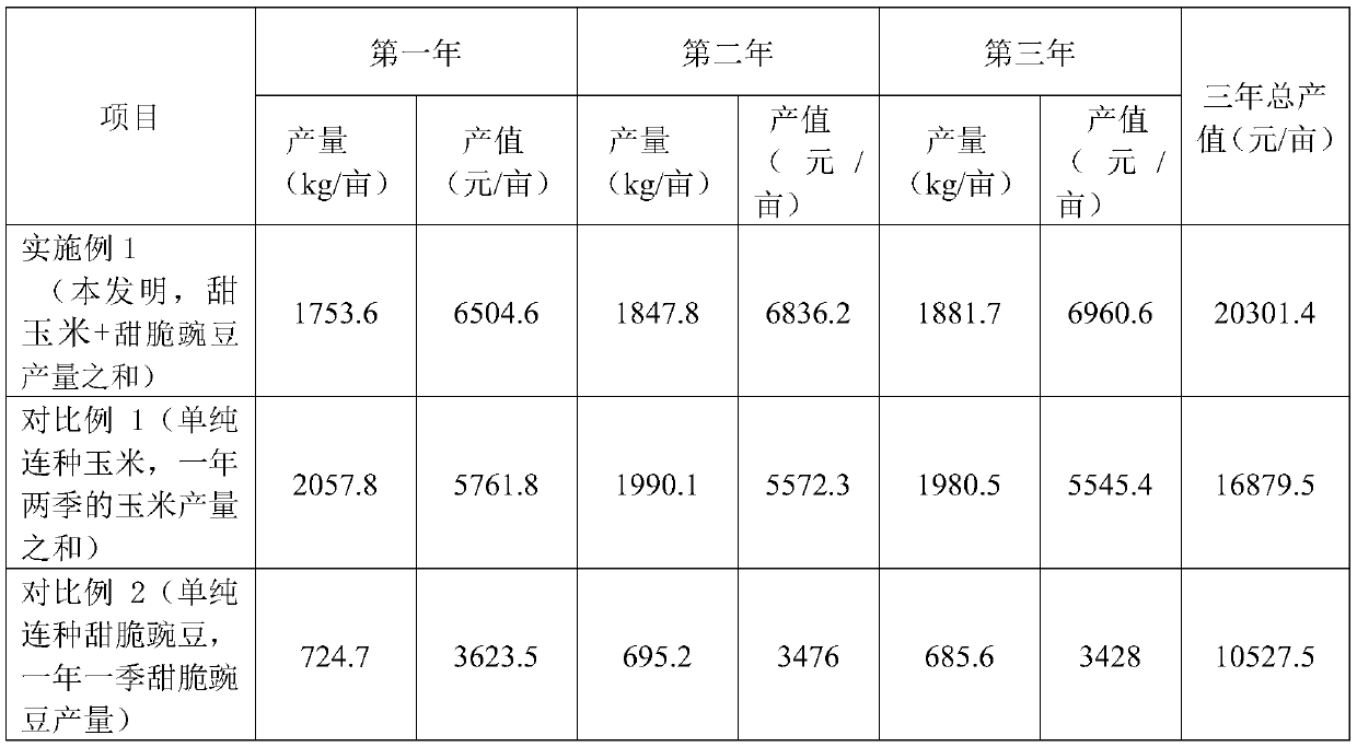 Cultivation method for interplanting of sweet corn in mangifera indica L. orchard and crop rotation of sweet corn and sweet and crispy pisum sativum L