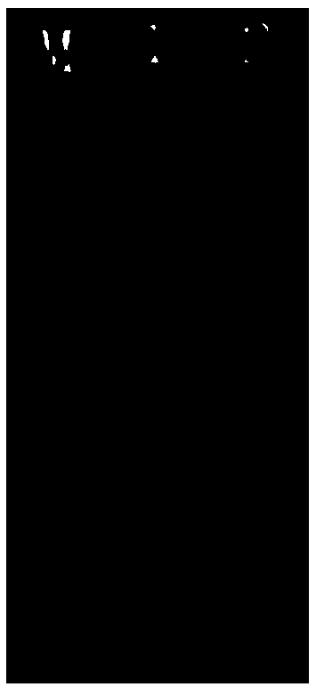 Extracting method of polysaccharide and polyphenol plant genomes