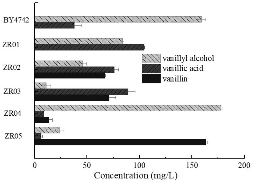 Saccharomyces cerevisiae engineering bacteria and application thereof in preparation of vanillin