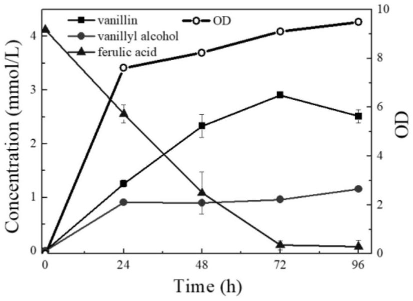 Saccharomyces cerevisiae engineering bacteria and application thereof in preparation of vanillin