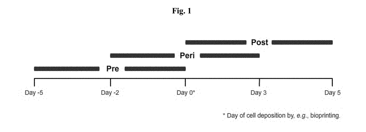 Engineered Three-Dimensional Connective Tissue Constructs and Methods of Making the Same