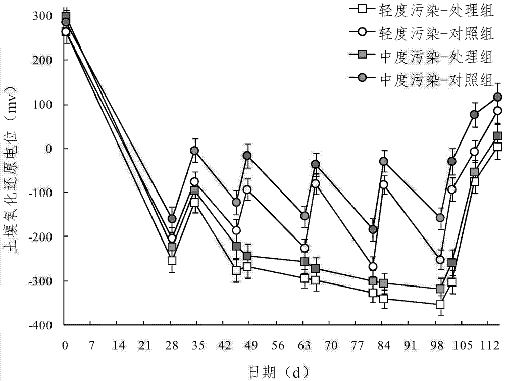 Water content management method for lowering content of chromium in rice in mild chromium-polluted paddy field