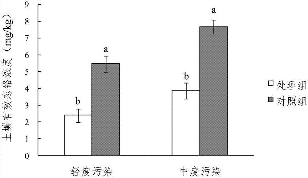 Water content management method for lowering content of chromium in rice in mild chromium-polluted paddy field