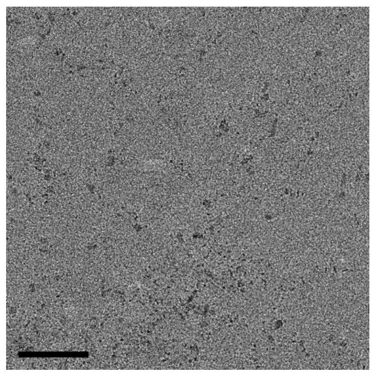 Photosensitizer based on thiadiazolo [3, 4-g] quinoxaline structure as well as synthesis method and application of photosensitizer