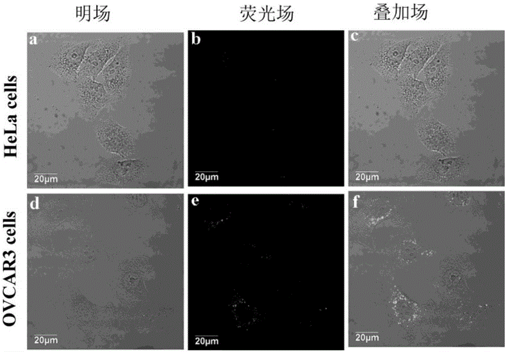 Synthesis and applications of beta-galactosidase sensor with aggregation induced emission enhancement performance