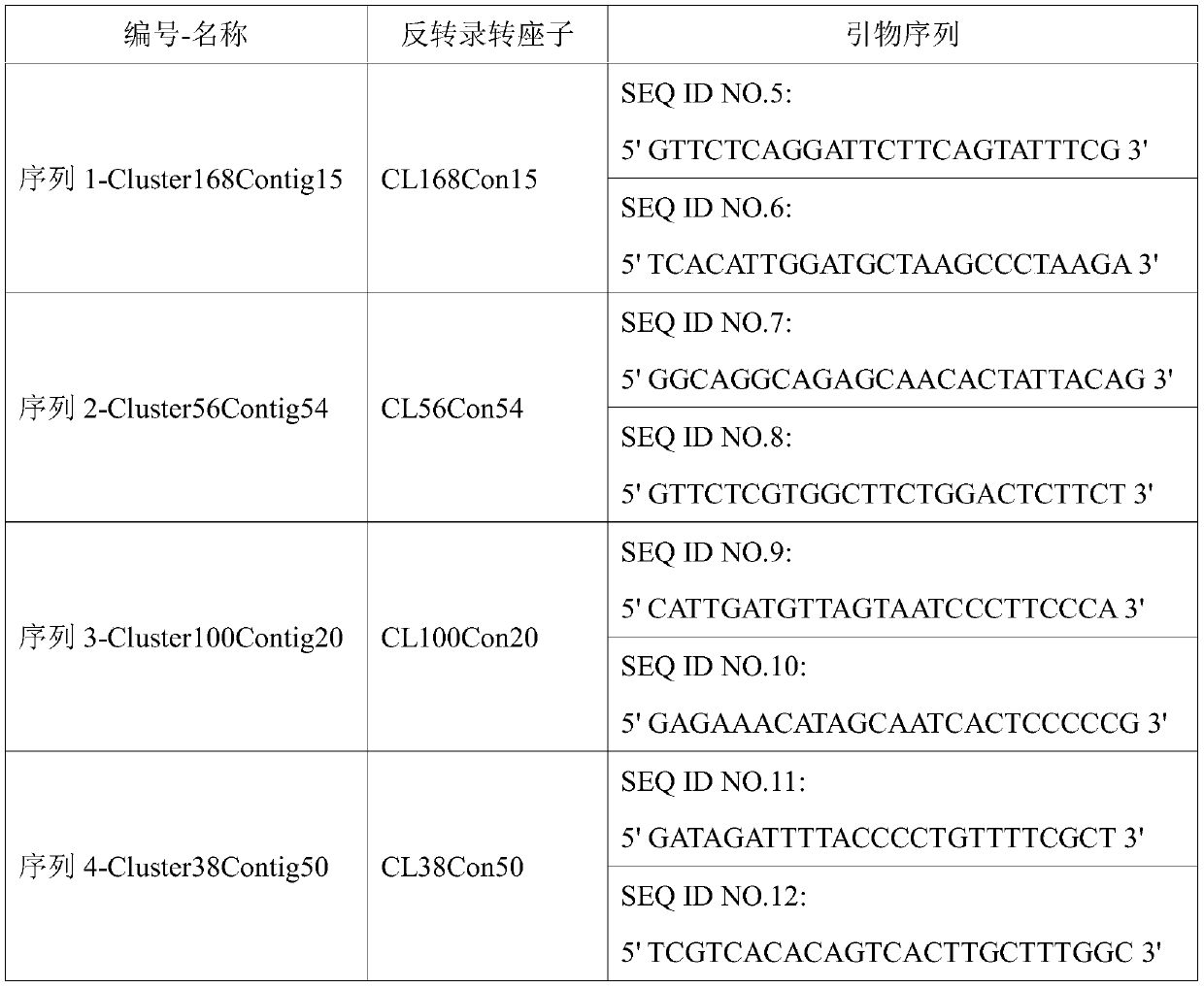 Saccharum spontaneum retrotransposon sequence and identification method thereof