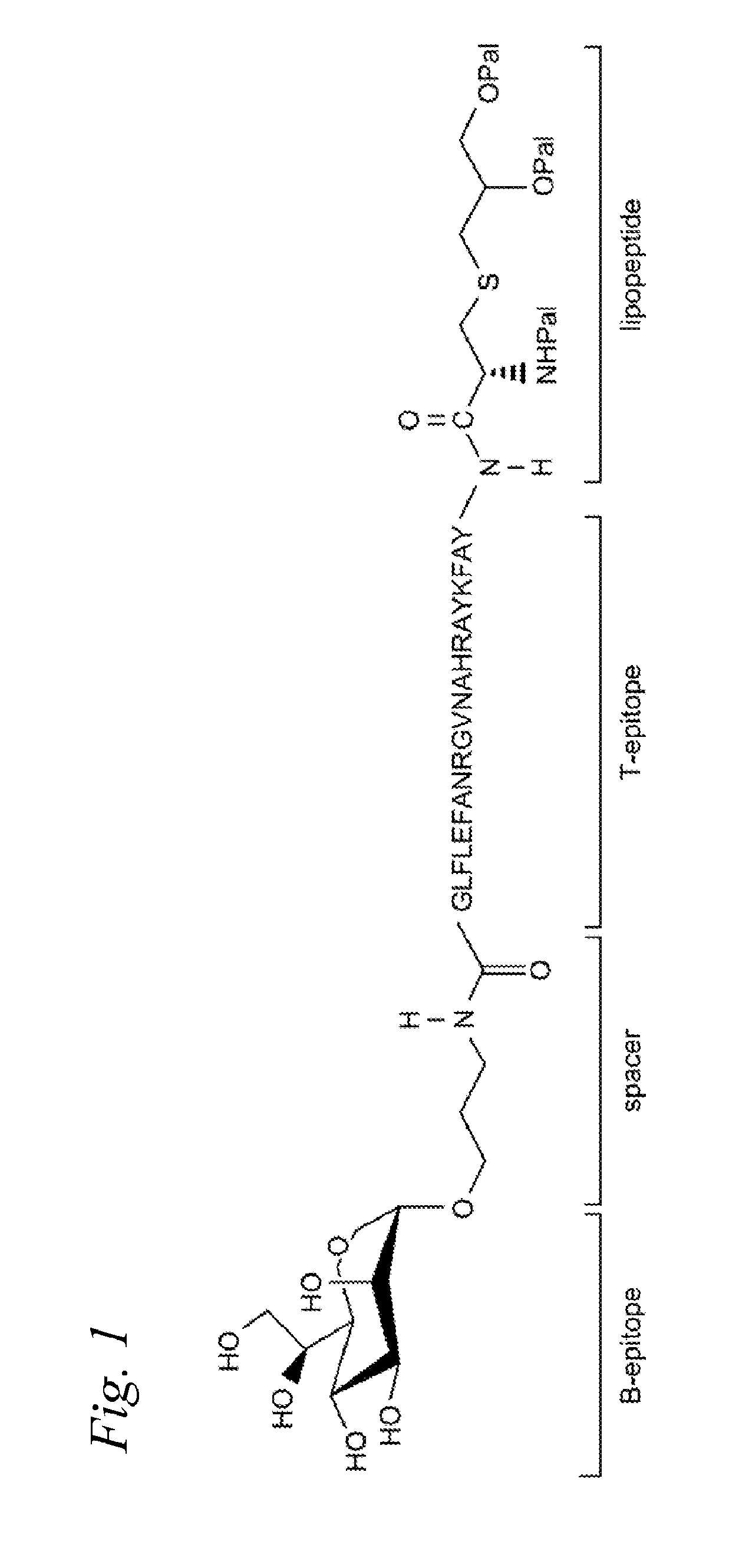 Immunogenic vaccine