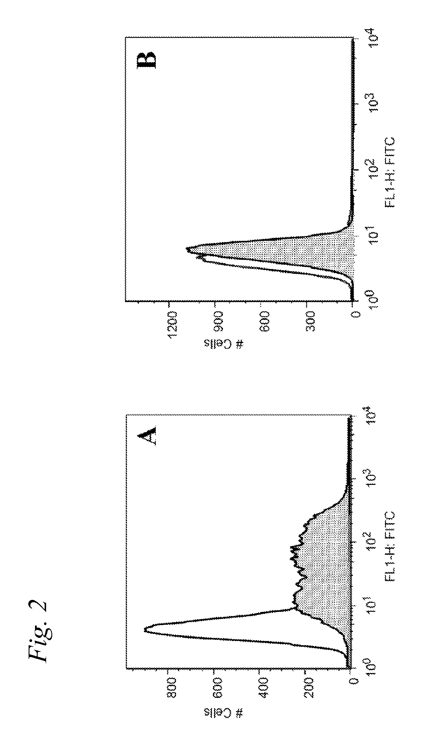 Immunogenic vaccine