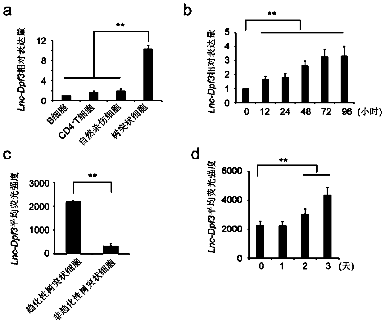 A novel long non-coding RNA, namely lnc-Dpf3, and a sequence, immunological effects and use thereof