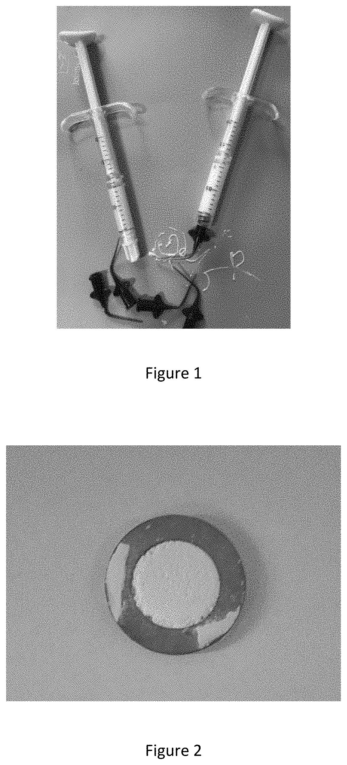 Pre-mixed strontium silicate-based biological hydraulic cementing paste composition, preparation method therefor, and application thereof