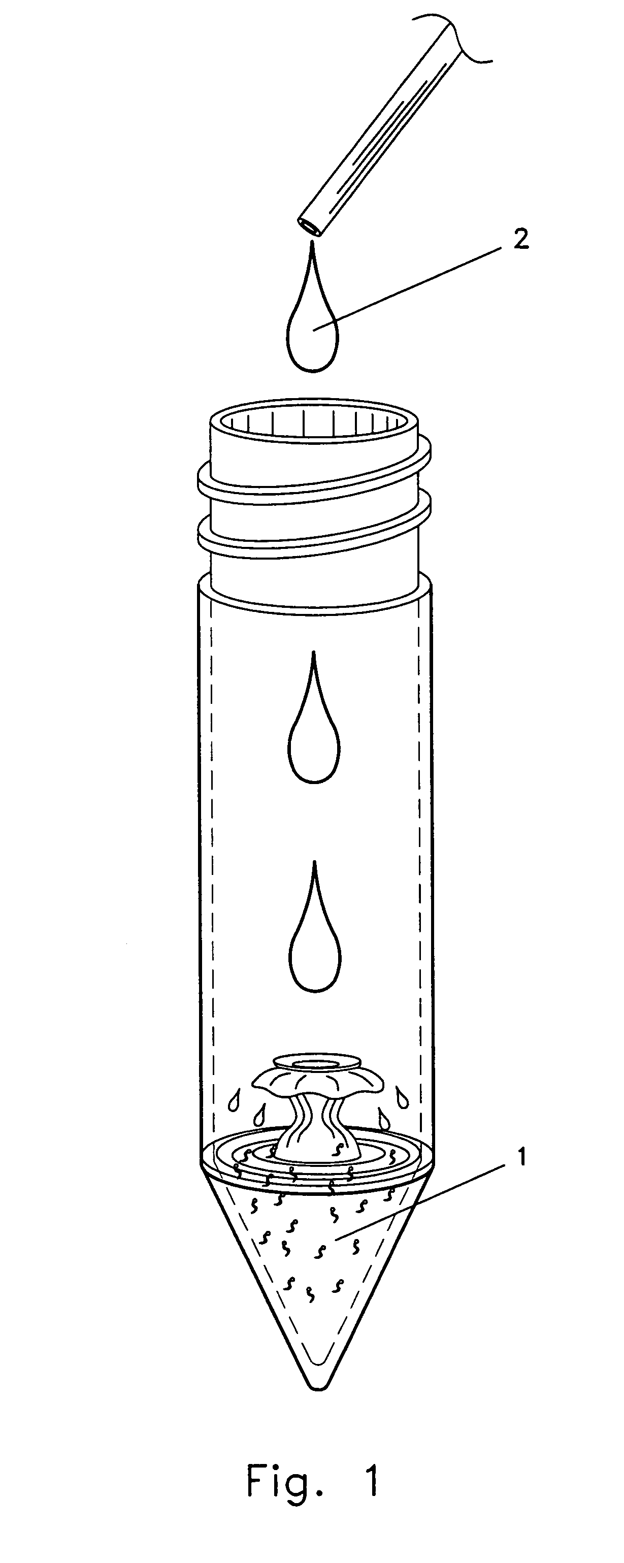 System for in-vitro fertilization with spermatozoa separated into X-chromosome and Y-chromosome bearing populations