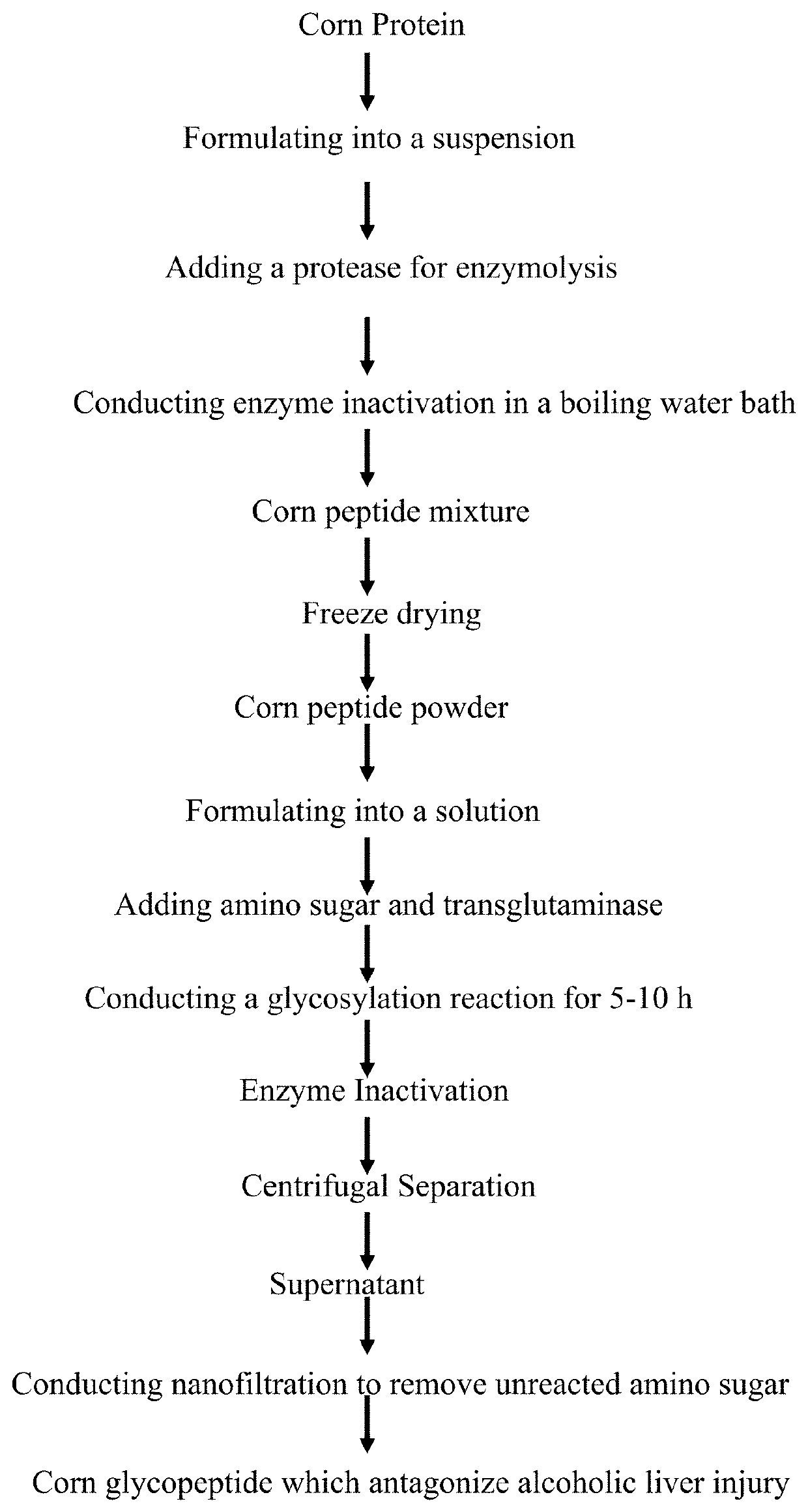 Method of preparing corn glycopeptides, and product and use thereof