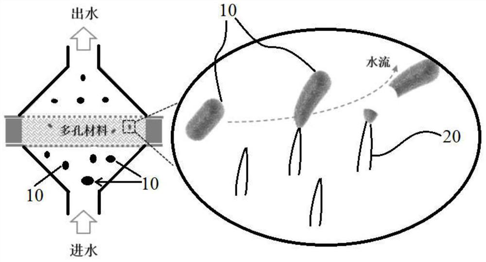 A porous material with surface-modified nanostructure array and its application