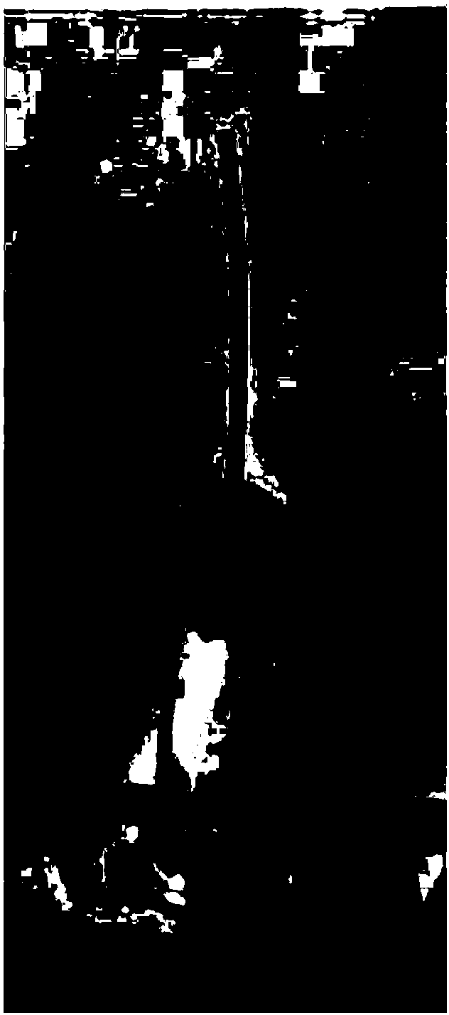 Preparation method of graphene-nano-zinc hydrogel electrode