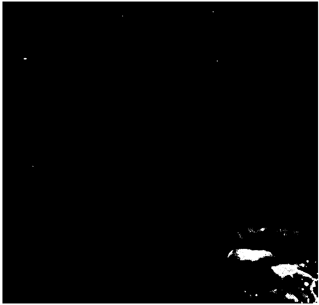 Preparation method of graphene-nano-zinc hydrogel electrode