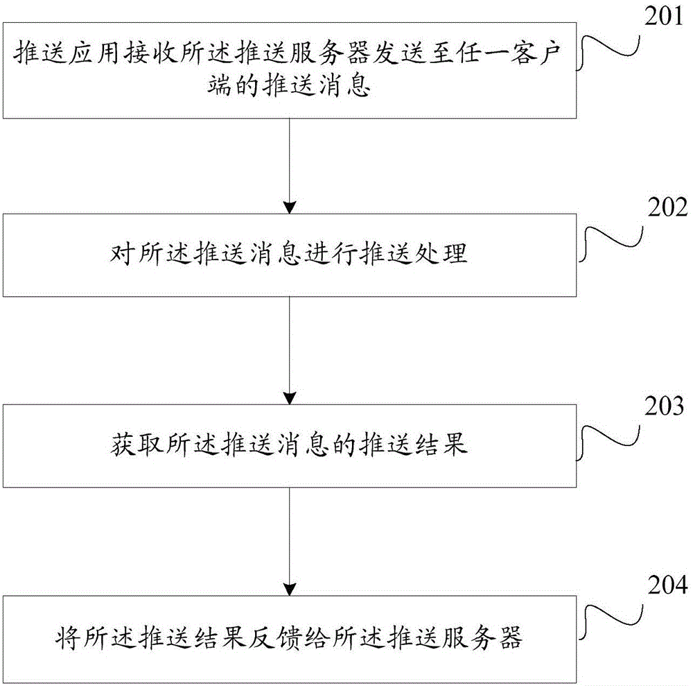 Push message detection method and device