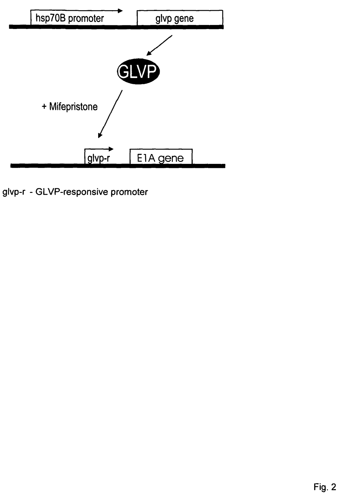 Viral vectors whose replication and, optionally, passenger gene are controlled by a gene switch activated by heat in the presence or absence of a small-molecule regulator