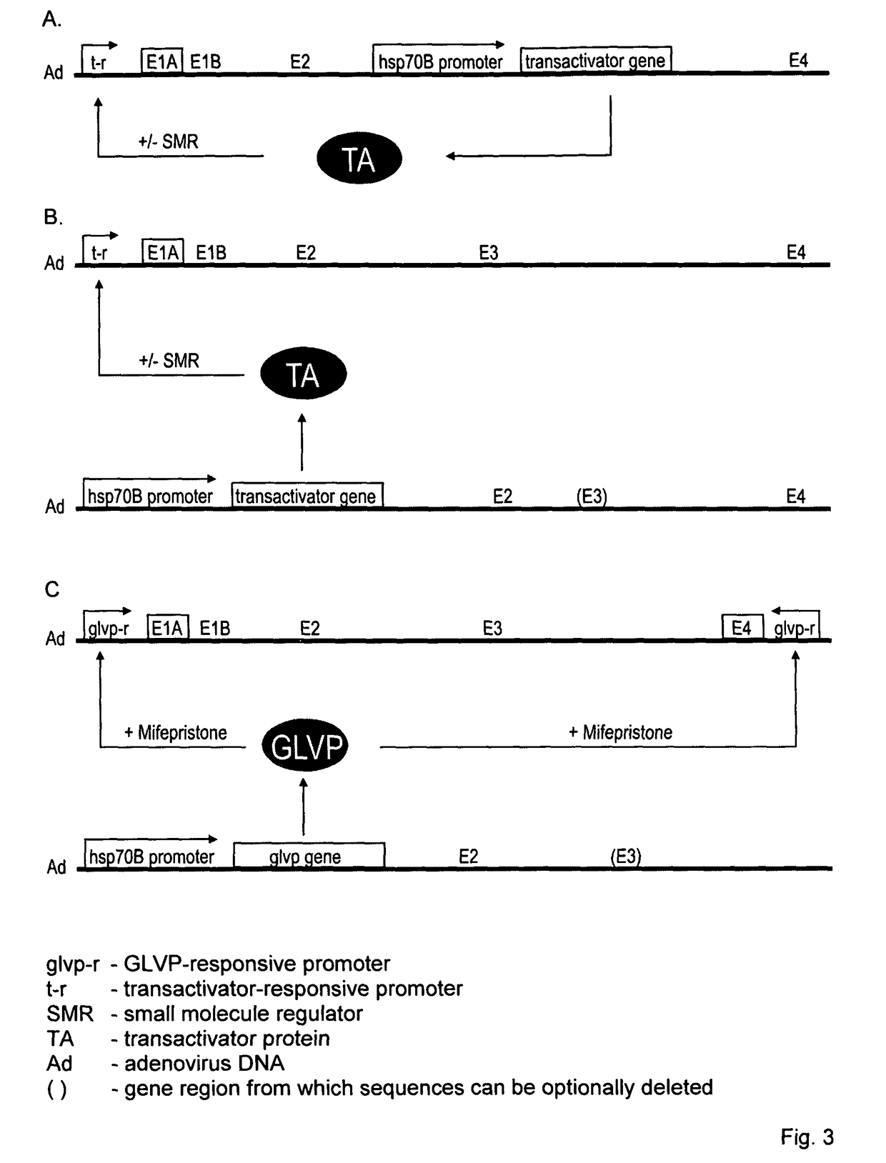 Viral vectors whose replication and, optionally, passenger gene are controlled by a gene switch activated by heat in the presence or absence of a small-molecule regulator