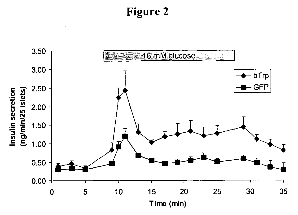 Methods and compositions for treating and diagnosing diabetes and related diseases involving beta-TRP