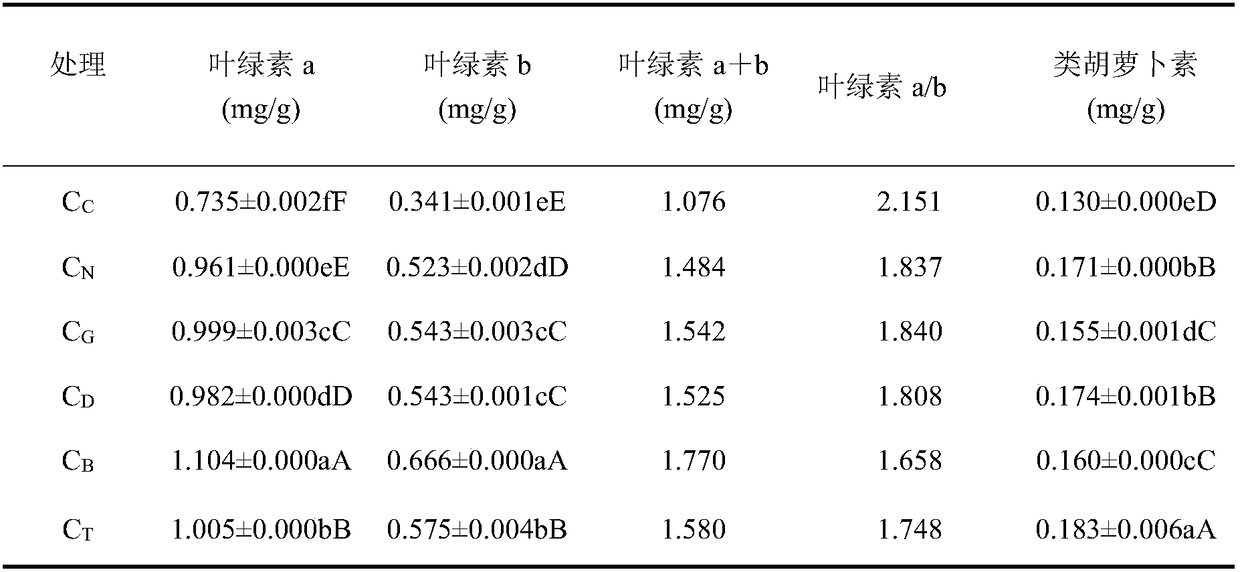 Method for reducing cadmium accumulation in cyphomandra befacea through mixed planting of galinsoga parviflora grating offspring