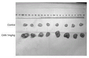 Medicine composition for inhibiting pancreatic cancer and application of medicine composition