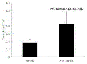 Medicine composition for inhibiting pancreatic cancer and application of medicine composition